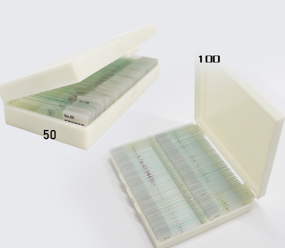 para niños con caja de madera educación en ciencias biológicas 50 piezas de portaobjetos de microscopio muestras de laboratorio de portaobjetos de biología de microscopio preparados en vidrio