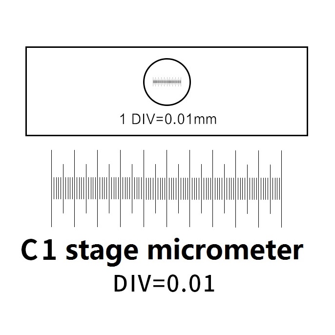 C1 Stage Micrometer DIV0.01mm