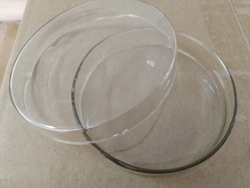 Placa Petri en vidrio soda-cal