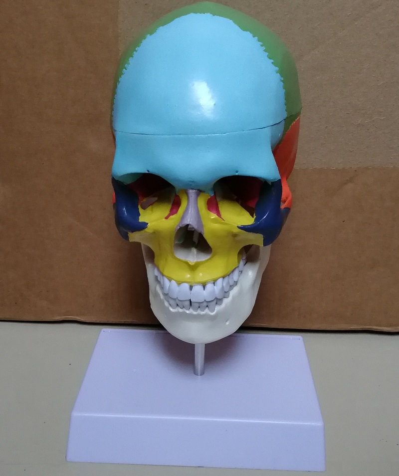 skull mode