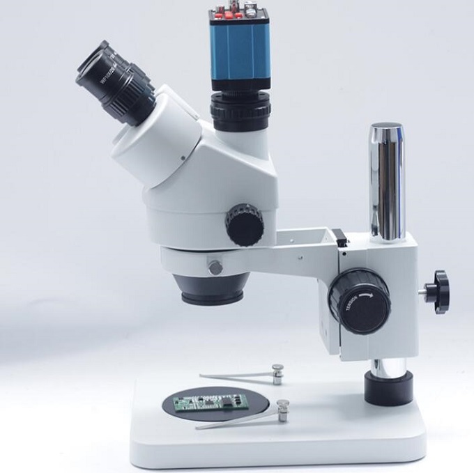 Microscopio Estéreo