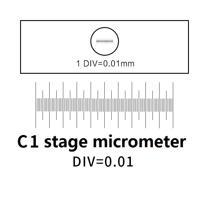 Micrómetro de escenario